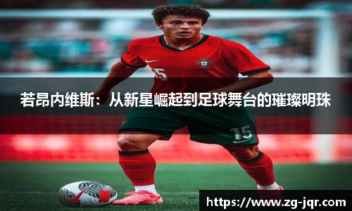 乐鱼体育APP